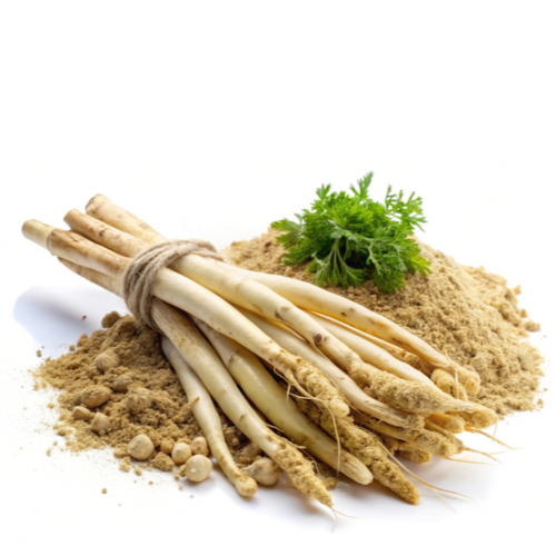 Shatavari Root Powder